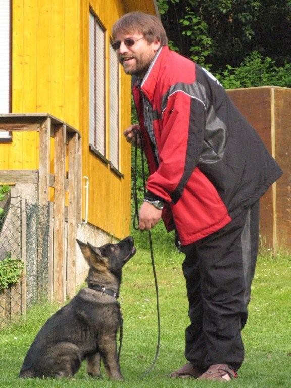 Aura beim Training mit Herrchen