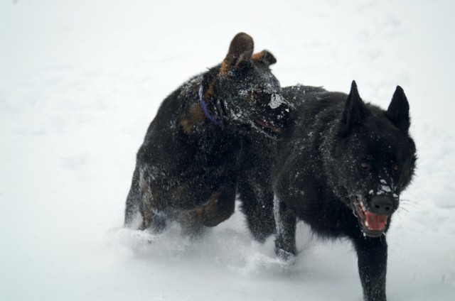Aruna und Brynia