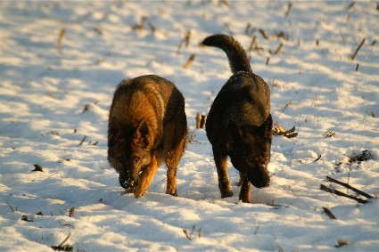 Anja und Fenja