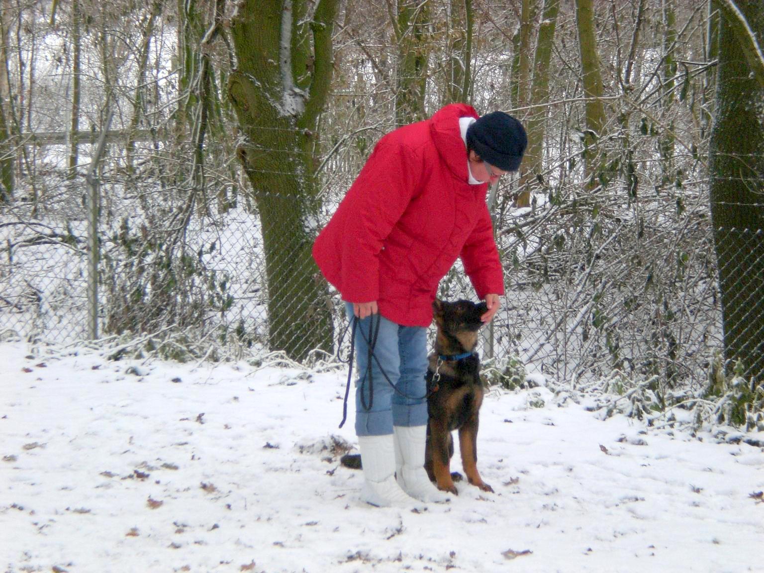 Befana in der Hundeschule