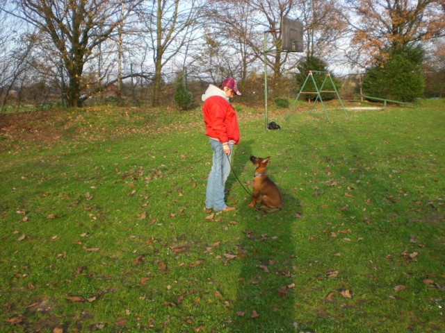 Befana in der Hundeschule