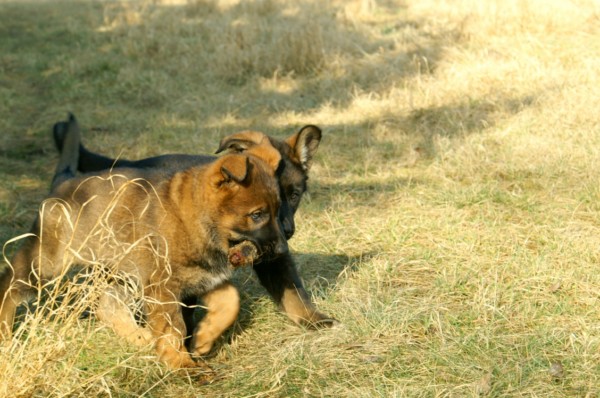 Enyo und Eru