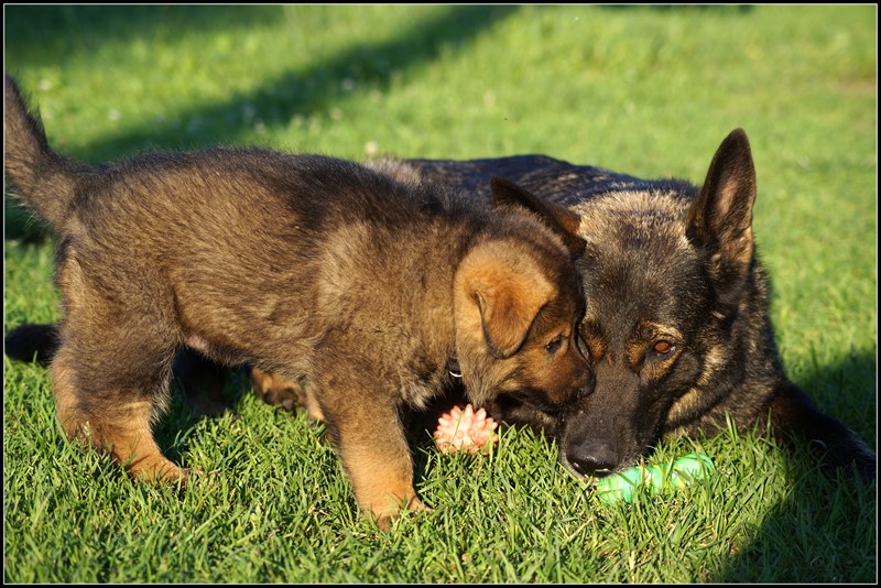 Fenja und Fergus